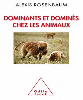 Dominants et dominés chez les animaux – Petite sociologie des hierarchies animales – Alexis Rosenbaum